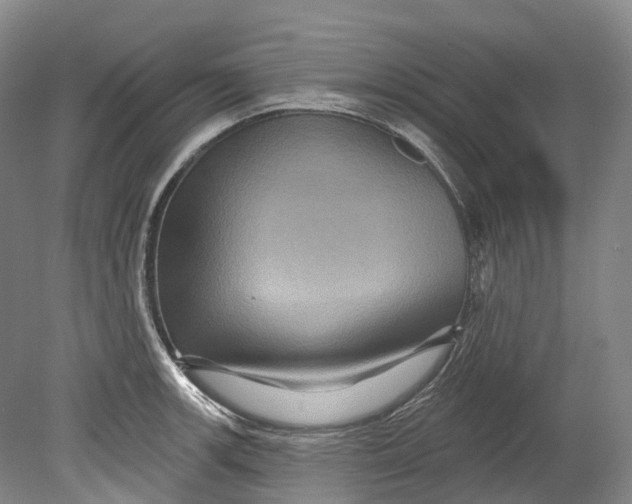 X0000080691139200701051053