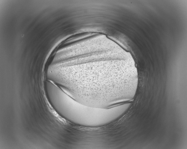 X0000080691140200701051053