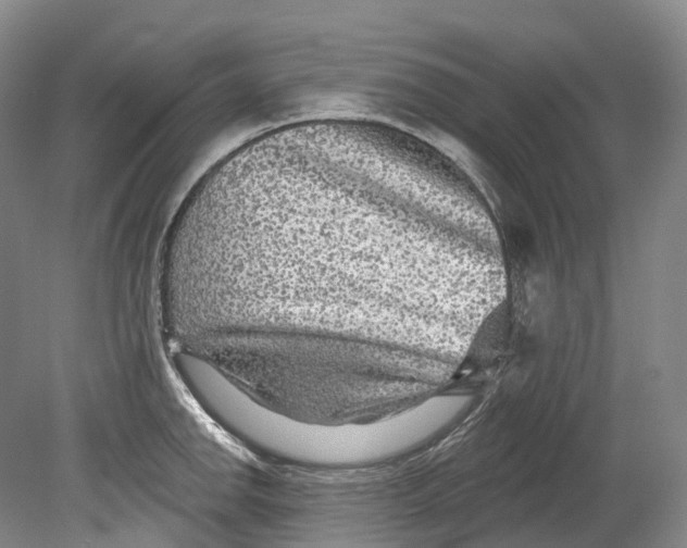 X0000080691142200701051053