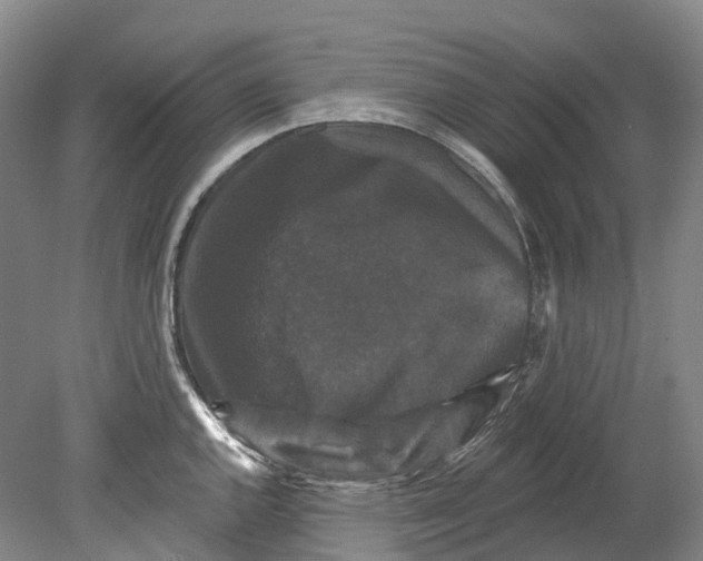 X0000080691144200701051053