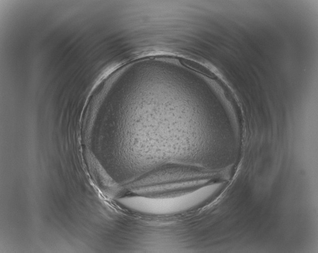 X0000080691145200701051053