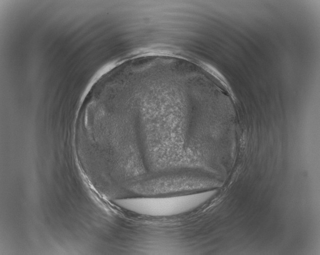 X0000080691146200701051053