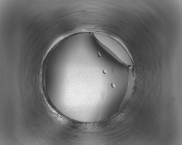 X0000080691147200701051053