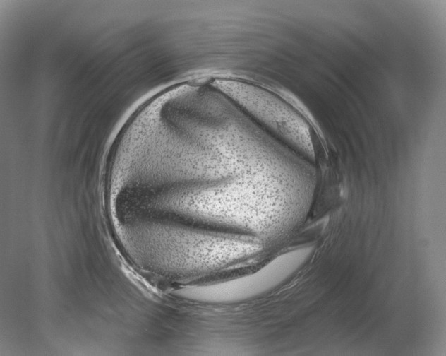 X0000080691148200701051053