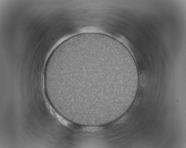 X0000080691150200701051053