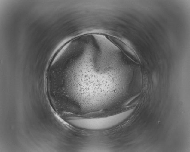 X0000080691151200701051053