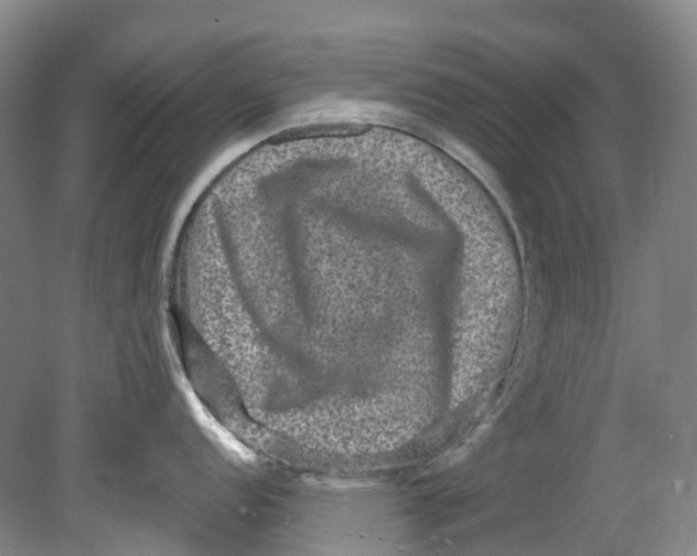 X0000080691152200701051053