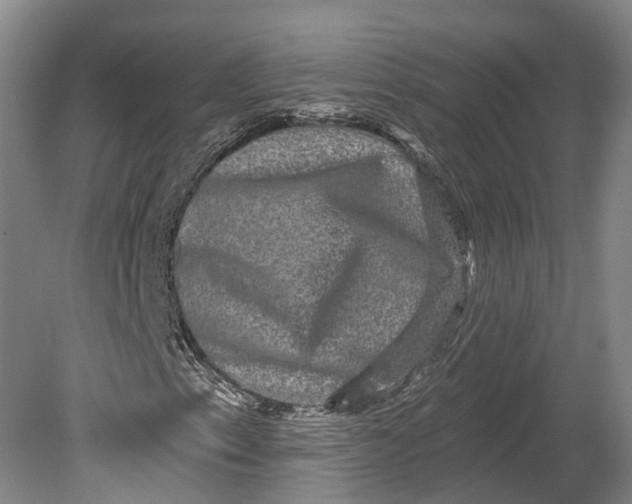 X0000080691153200701051053