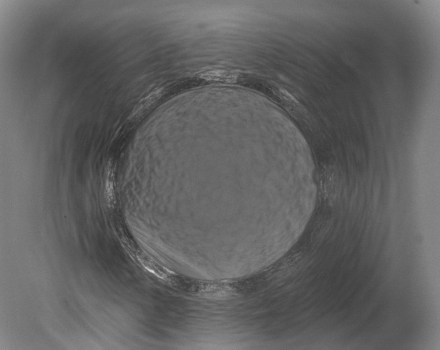 X0000080691154200701051053