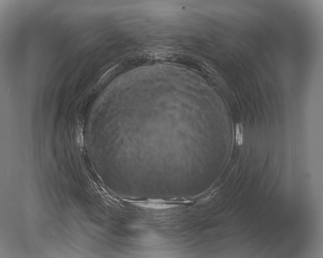 X0000080691155200701051053