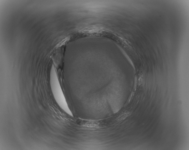 X0000080691156200701051053