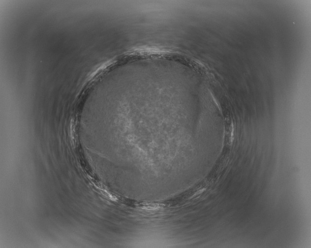 X0000080691157200701051053