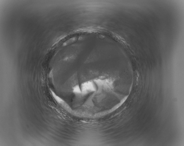 X0000080691158200701051053