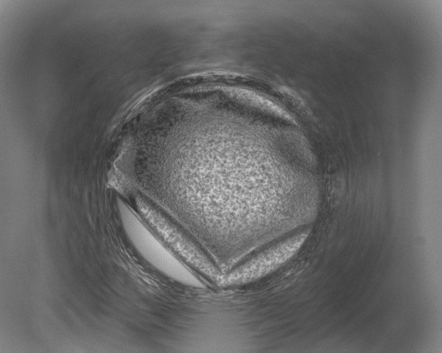 X0000080691159200701051053