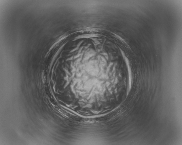 X0000080691160200701051052