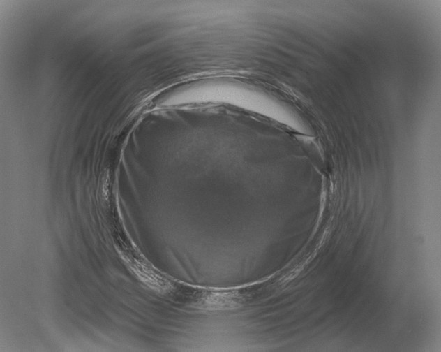 X0000080691161200701051052