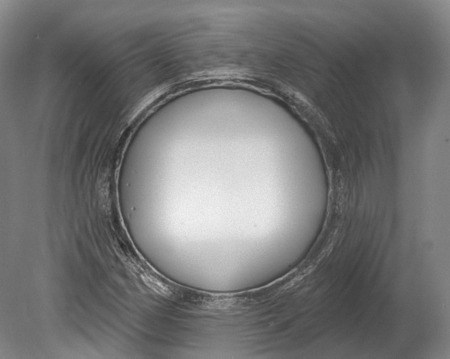 X0000080691162200701051052