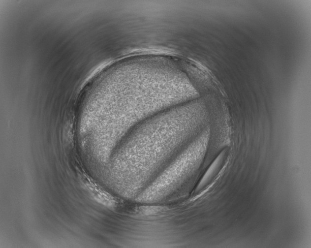 X0000080691163200701051052