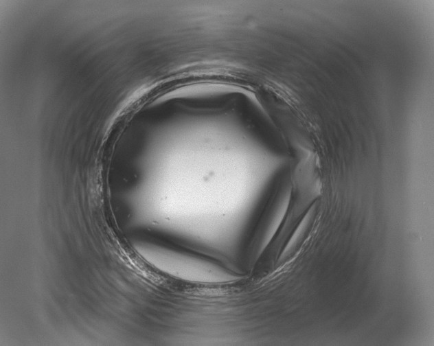 X0000080691164200701051052