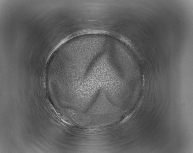 X0000080691165200701051052