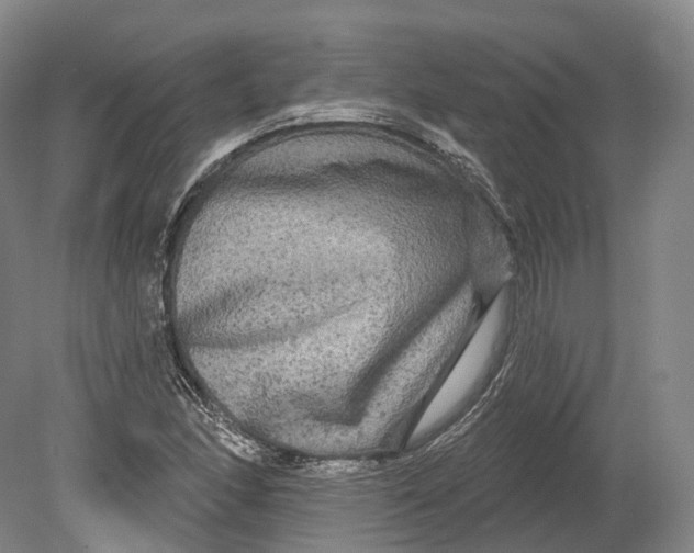 X0000080691166200701051052