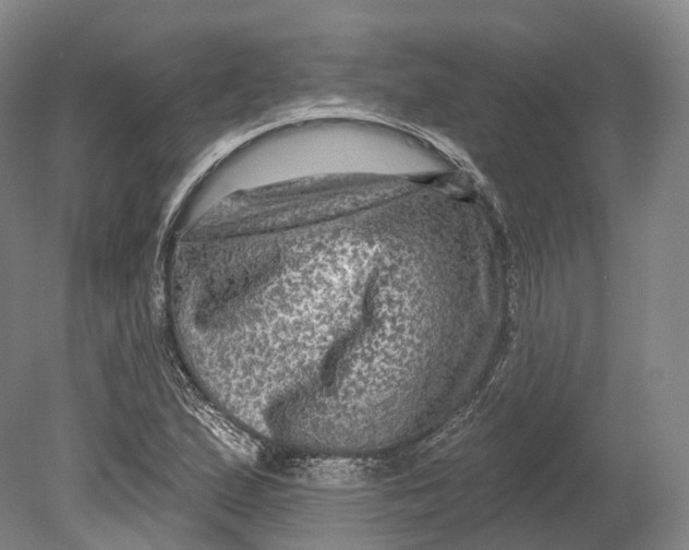 X0000080691167200701051052