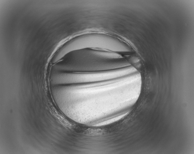 X0000080691168200701051052