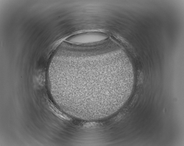 X0000080691169200701051052