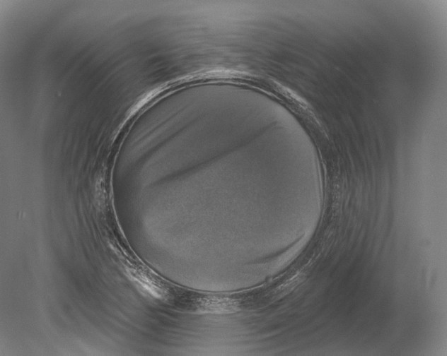 X0000080691170200701051052