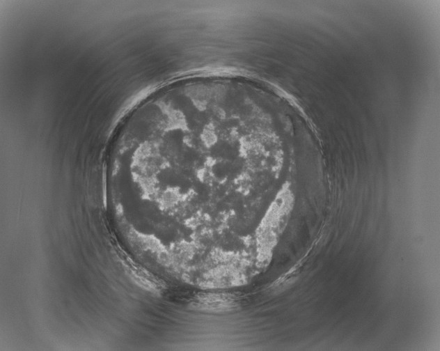 X0000080691171200701051052