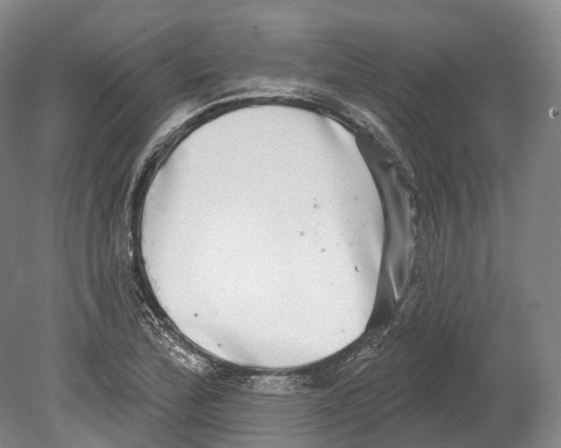 X0000080691172200701051052