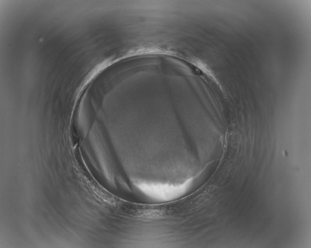 X0000080691173200701051052