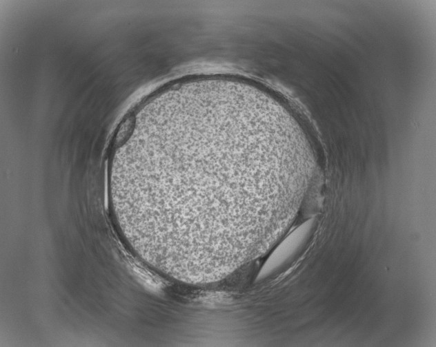 X0000080691175200701051052