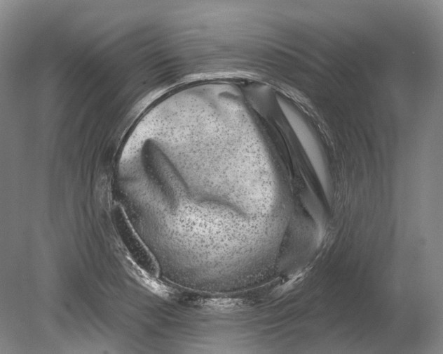 X0000080691177200701051052