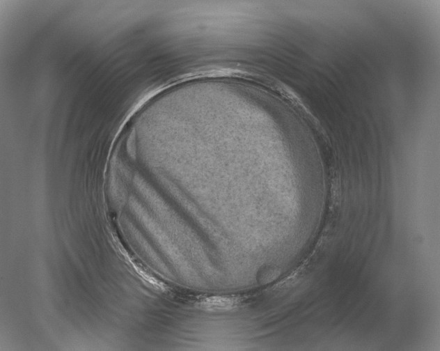 X0000080691178200701051052