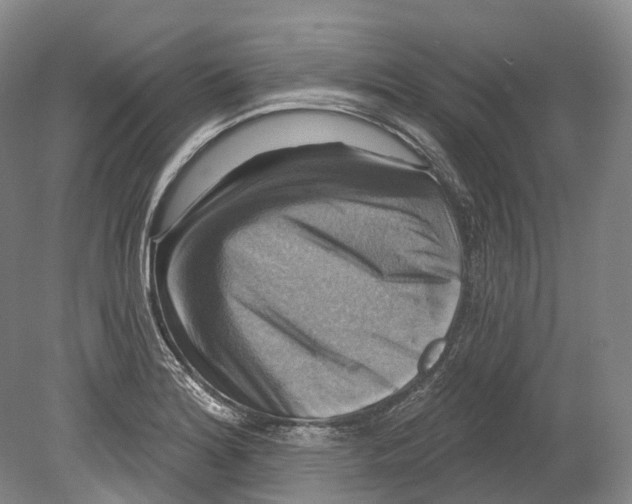 X0000080691180200701051052