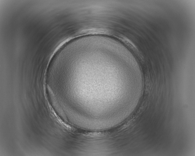 X0000080691182200701051052