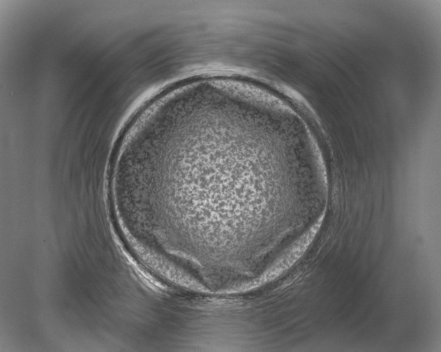 X0000080691183200701051052