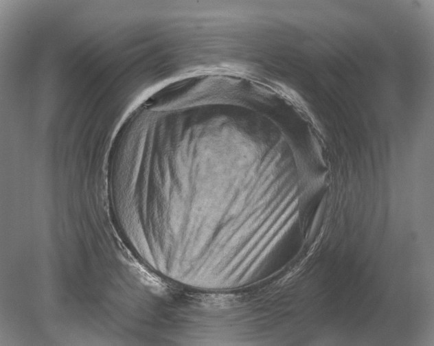 X0000080691184200701051052