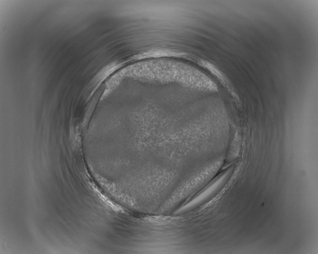 X0000080691185200701051052