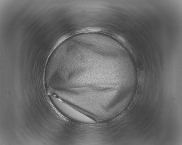 X0000080691186200701051052