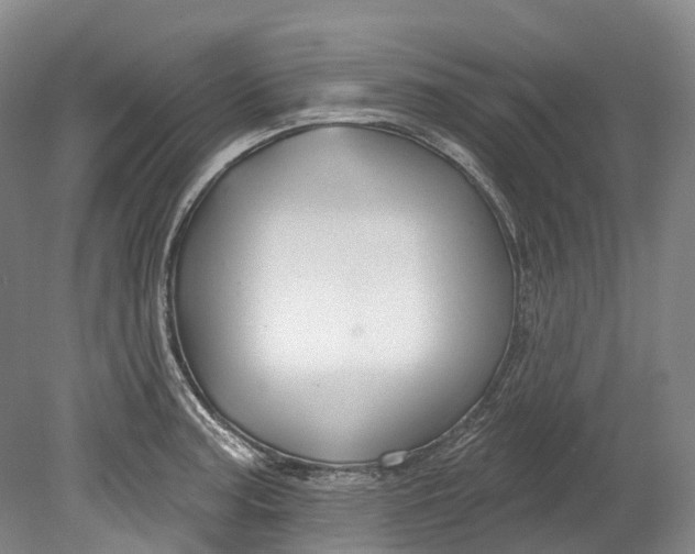 X0000080691187200701051052