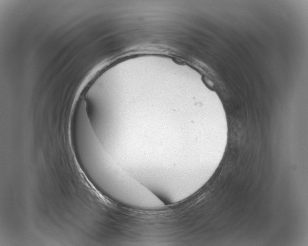 X0000080691188200701051052