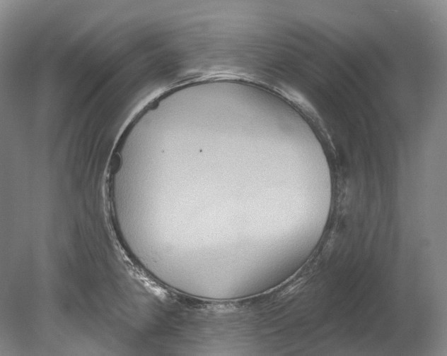 X0000080691190200701051052