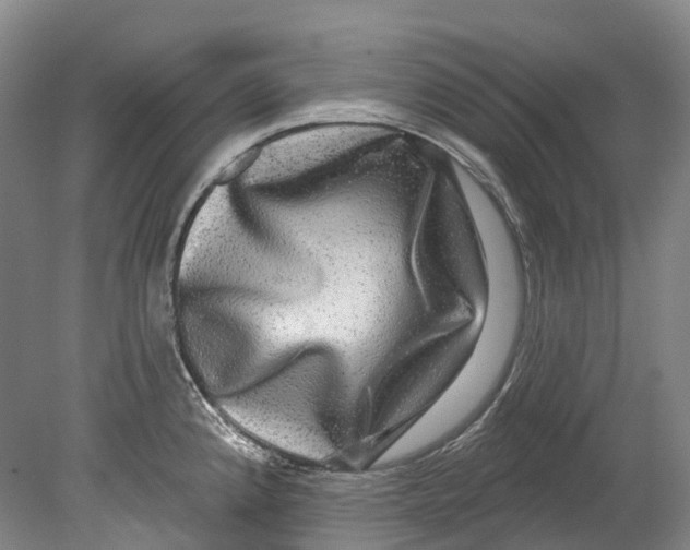 X0000080691192200701051052