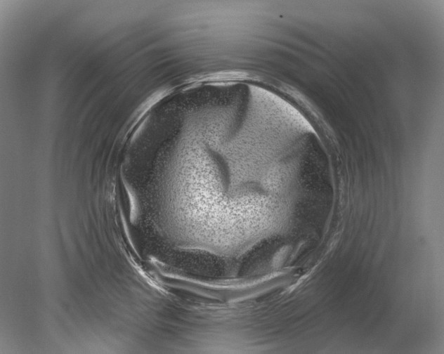 X0000080691193200701051052