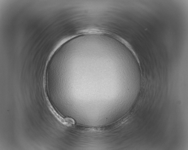 X0000080691195200701051052