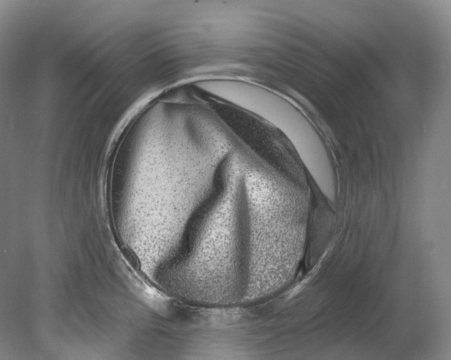 X0000080691196200701051052