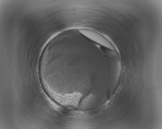 X0000080691197200701051052