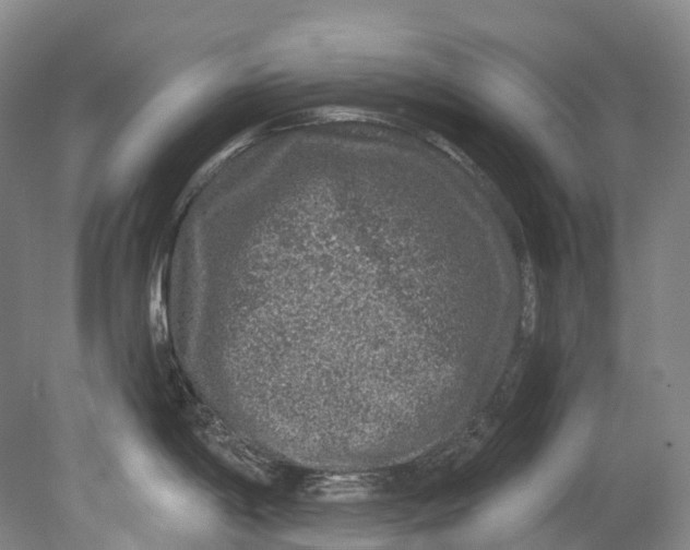 X0000080691198200701051052